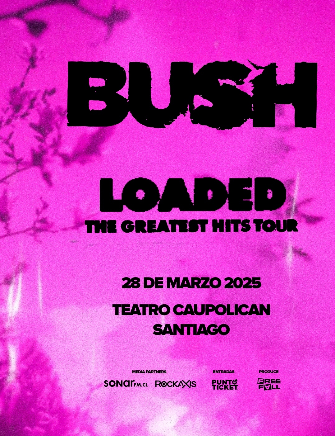 Bush: Intenso, como la vida